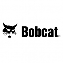 Bobcat of Regina